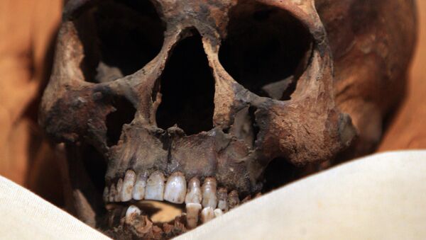 Crânio de múmia (foto de arquivo) - Sputnik Brasil