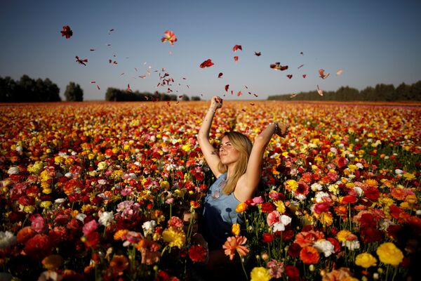 Menina em meio do campo de flores no sul de Israel - Sputnik Brasil