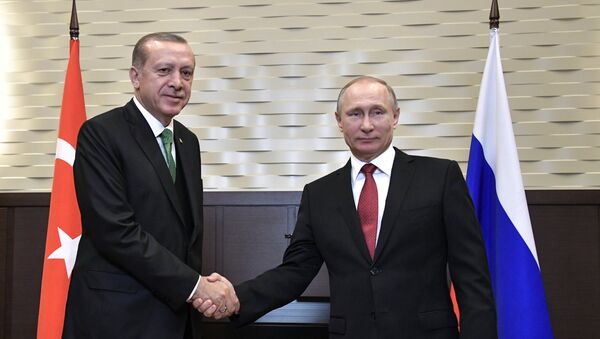 Встреча президента РФ В. Путина с президентом Турции Р. Эрдоганом - Sputnik Brasil
