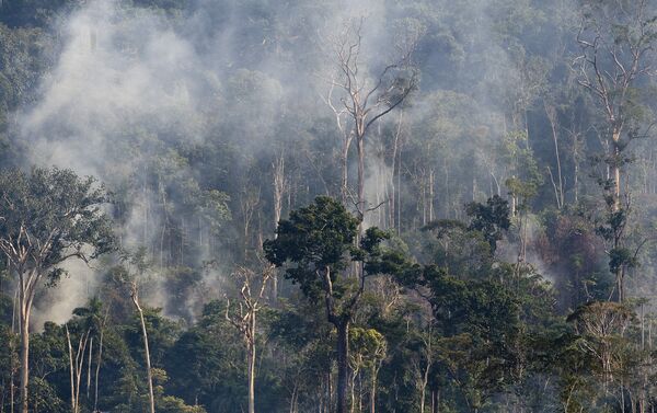 Rastreamento por satélite mostra aumento das queimadas na Amazônia - Sputnik Brasil