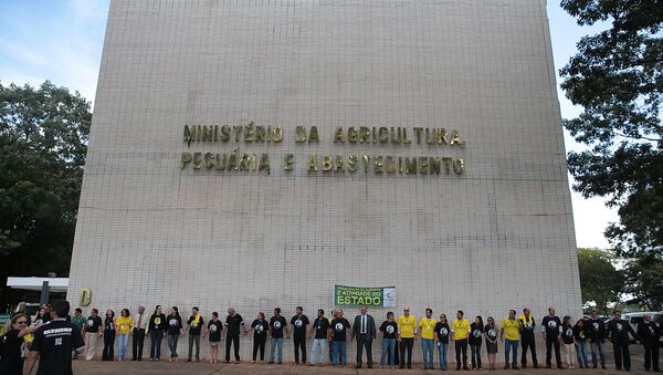 Auditores fiscais do Ministério da Agricultura se reúnem e fazem ato público para prestar esclarecimentos à sociedade sobre a importância do trabalho de fiscalização (arquivo) - Sputnik Brasil