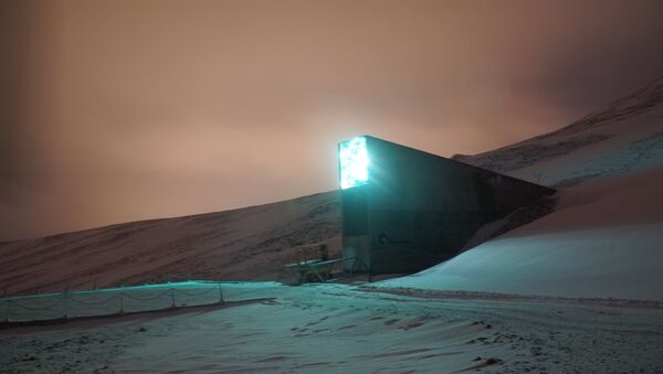 A arca mundial de sementes que fica na região norueguesa de Svalbard, na ilha de Spitsbergen - Sputnik Brasil