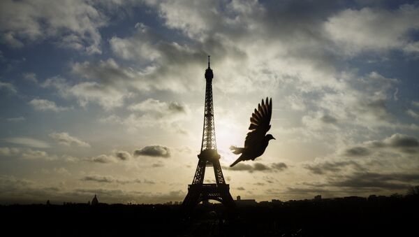 A bird flies in front of the Eiffel Tower ,which remained closed on the first of three days of national mourning, in Paris, Sunday, Nov. 15, 2015. - Sputnik Brasil