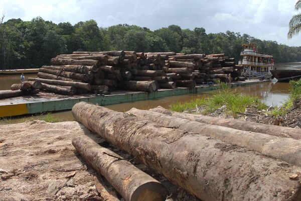 Desmatamento voltou a crescer na Amazônia nos dois últimos anos - Sputnik Brasil