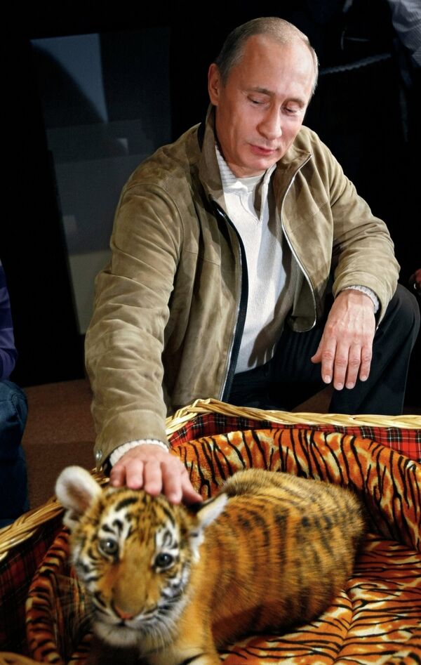 Vladimir Putin apresenta filhote de tigre para jornalistas - Sputnik Brasil