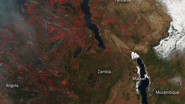 Àfrica está abarcado por incêndios florestais - Sputnik Brasil