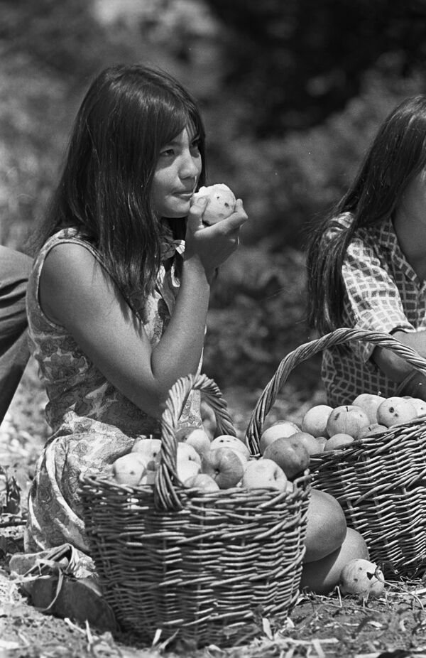 Menina na época da colheita de maçãs no sul da Rússia - Sputnik Brasil