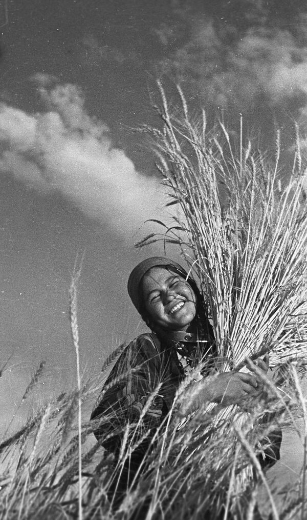 Colheita de trigo na República Turcomena em 1939 - Sputnik Brasil