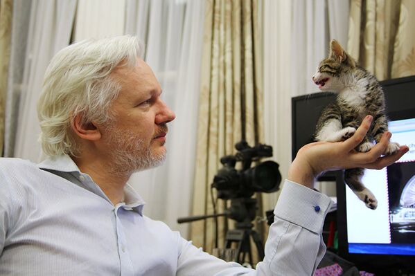 O fundador do Wikileaks admira seu novo amigo, ainda filhote - Sputnik Brasil