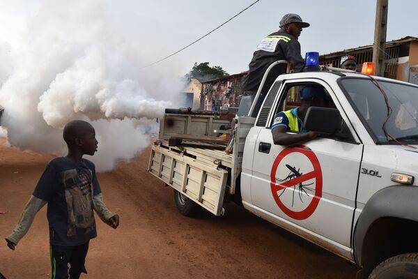 Desinfestação de mosquitos devido à propagação da dengue na Costa do Marfim - Sputnik Brasil