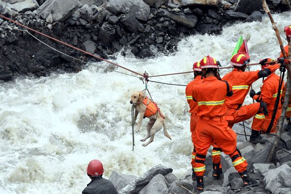 Serviços de resgate evacuam cachorro na província chinesa de Sichuan - Sputnik Brasil