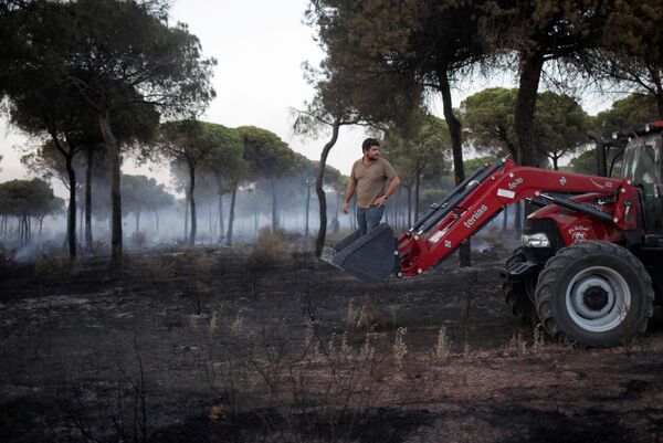 Homem ajuda a apagar fogo no sul da Espanha - Sputnik Brasil