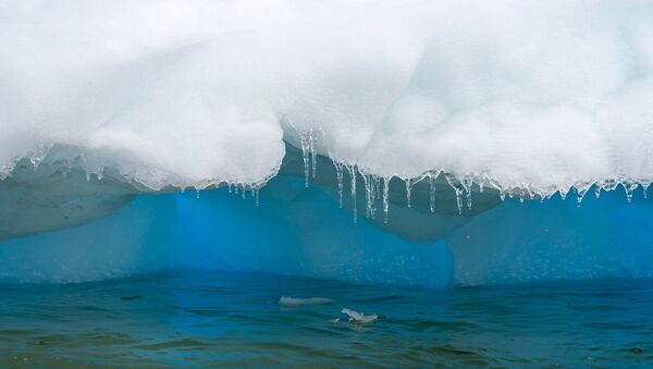Gelo fundindo na Antártica - Sputnik Brasil