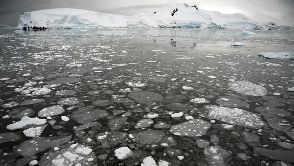 Gelo flutuando na superfície do mar na parte ocidental da Península Antártica em 5 de março de 2016 - Sputnik Brasil
