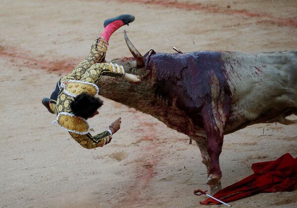 Toureiro luta com touro no festival de Pamplona, Espanha - Sputnik Brasil