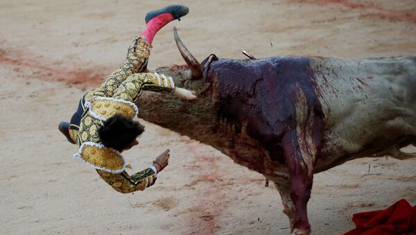 Toureiro luta com touro no festival de Pamplona, Espanha - Sputnik Brasil
