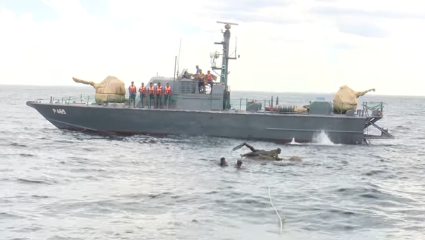 Navy rescues an elephant at sea - Sputnik Brasil