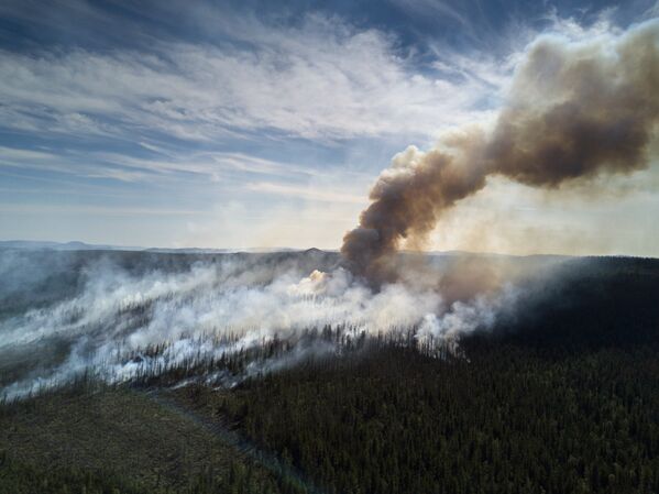 Especialistas apagam fogo florestal na República de Buriácia - Sputnik Brasil