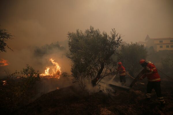 Mais de mil bombeiros estão trabalhando no combate ao incêndio - Sputnik Brasil