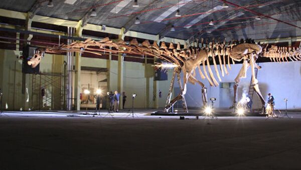 Patagotitan, supostamente, o maior animal que já habitou a Terra - Sputnik Brasil