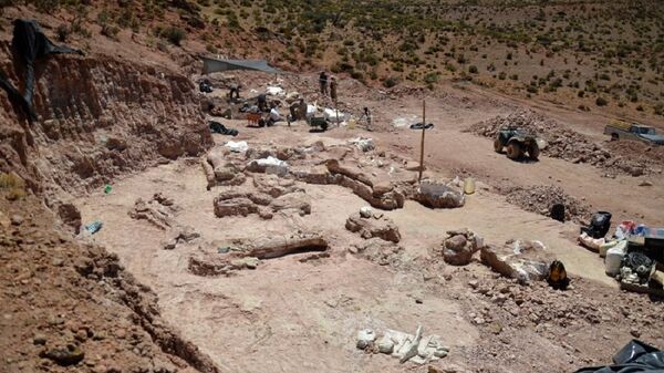 Cientistas desenterrando Patagotitan de rochas do período Cretáceo - Sputnik Brasil