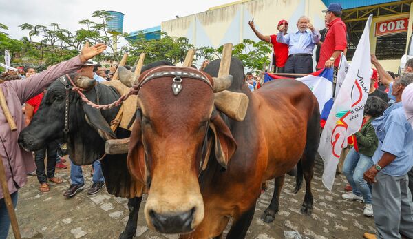 Lula se encontra com condutores de carro de boi em Arapiraca, Alagoas - Sputnik Brasil
