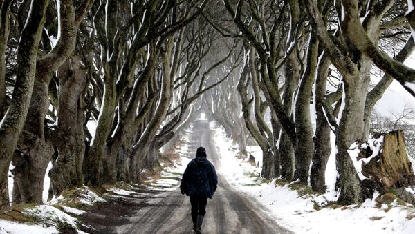 Túnel de árvores do Dark Hedges, onde foram gravadas cenas da série Game of Thrones, Irlanda do Norte - Sputnik Brasil
