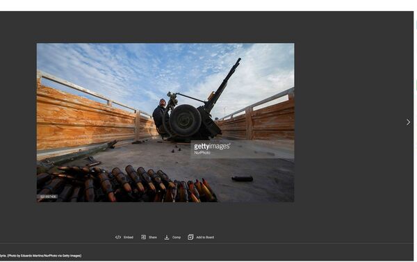 Foto roubada por Eduardo Martins e sendo comercializada por ele na Getty Images por US$575 - Sputnik Brasil
