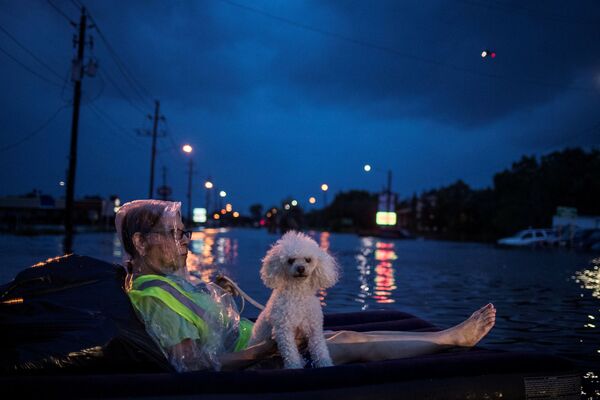 Mulher com seu cachorrinho esperam evacuação em Houston, Texas, EUA - Sputnik Brasil