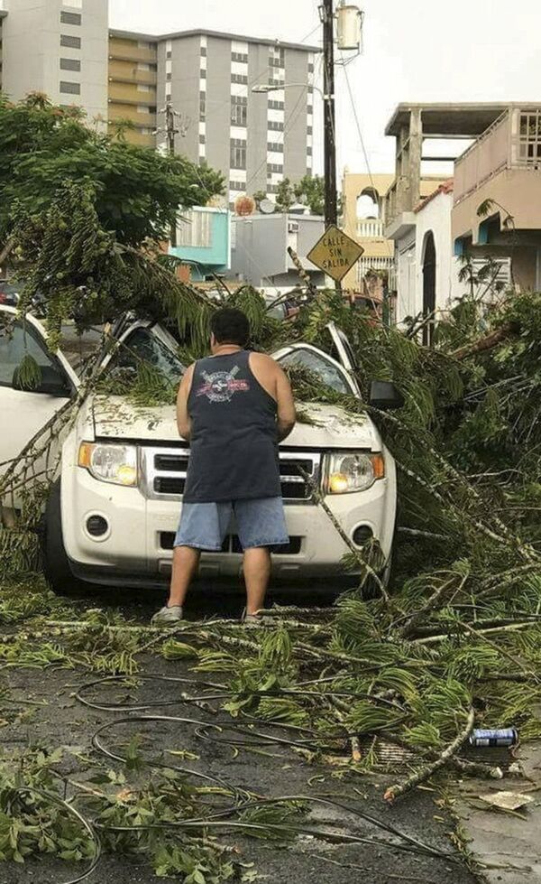 As consequências do furacão Irma: árvores caídas e carros danificados - Sputnik Brasil
