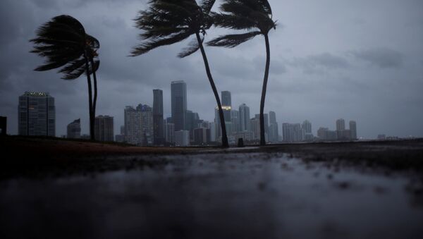 Furacão Irma na Flórida - Sputnik Brasil