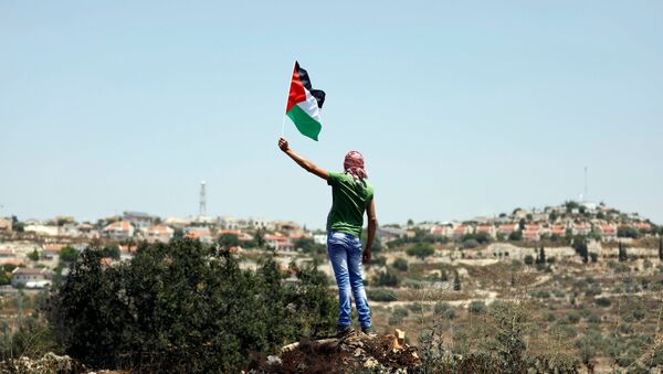 Manifestante com a bandeira da Palestina - Sputnik Brasil