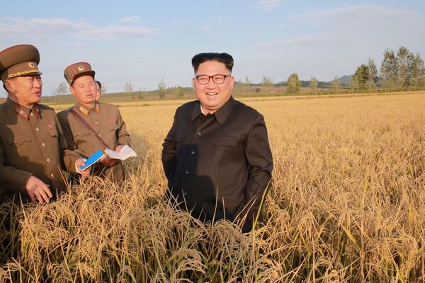 As novas sementes com maior produtividade serão então utilizadas em outras fazendas, informou a mídia estatal da Coreia do Norte. - Sputnik Brasil