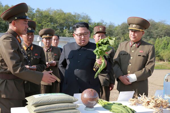 Choe Ryong-hae, vice-marechal do Exército Popular da Coreia acompanhou a visita. - Sputnik Brasil