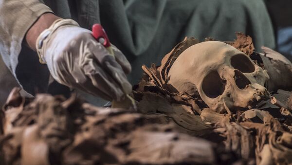 Túmulo com múmias em Luxor, Egito - Sputnik Brasil