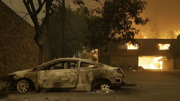 Carro carbonizado em decorrência de incêndio florestal em Santa Rosa, na Califórnia - Sputnik Brasil
