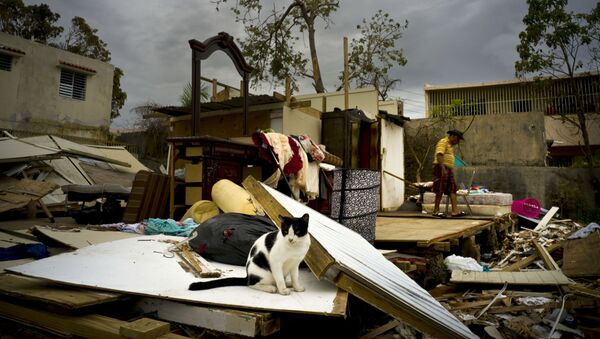 Consequências do furacão Maria em Porto Rico - Sputnik Brasil
