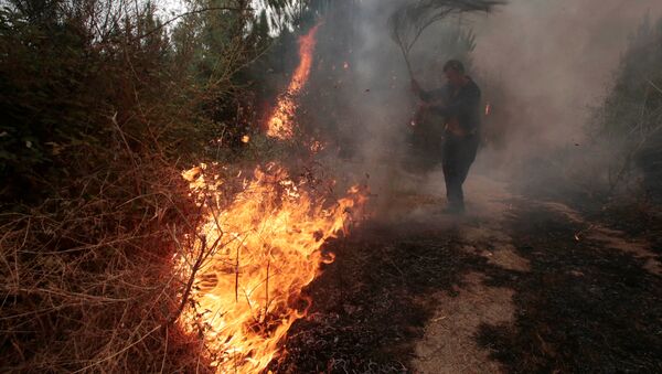 A man works to extinguish a forest fire in Arbo in the northwest Spanish region of Galicia, August 11, 2016 - Sputnik Brasil