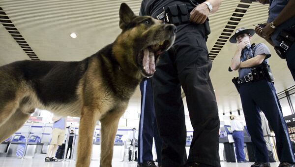 Cachorro da polícia (imagem referencial) - Sputnik Brasil