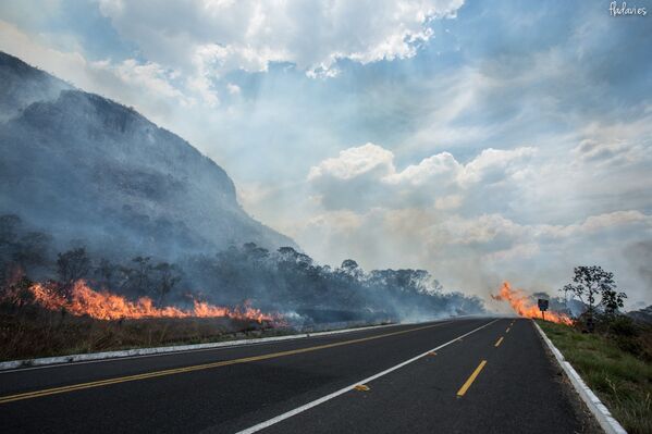 Estrada fica cercada por chamas no Parque Nacional da Chapada dos Veadeiros, em Goiás - Sputnik Brasil