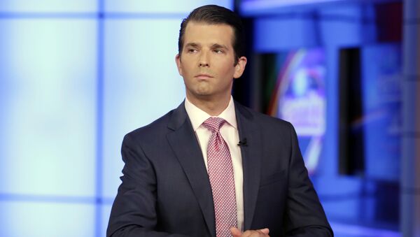 In this July 11, 2017, photo, Donald Trump Jr. is interviewed by host Sean Hannity on the Fox News Channel television program - Sputnik Brasil
