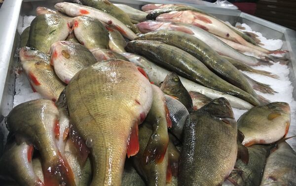 Peixe fresco no mercado central de Rostov-no-Don - Sputnik Brasil