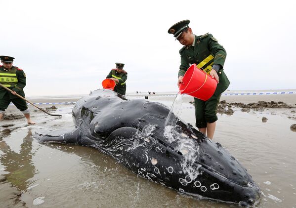 Policiais chineses põem água sobre boleia encontrada na praia - Sputnik Brasil