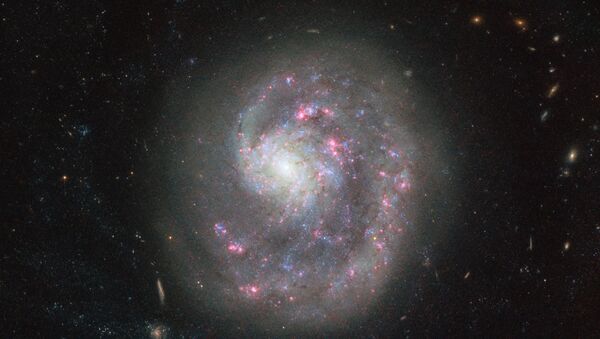 A galáxia NGC 4625 - Sputnik Brasil