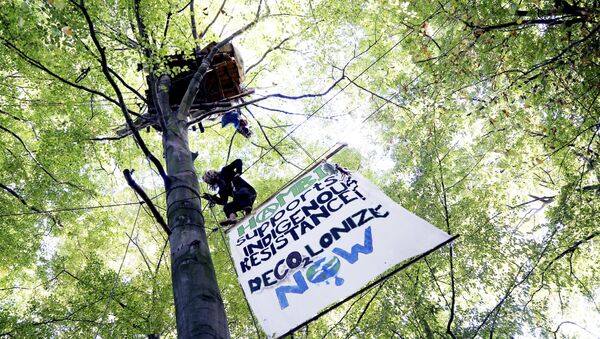 an activist climbs up a tree at the Hambach forest near Morschenich, Germany. Cologne’s administrative court ruled Friday, Nov. 24, 2017 against a legal complaint brought by the environmental group BUND that wanted to halt the clearance of much of Hambach forest - Sputnik Brasil