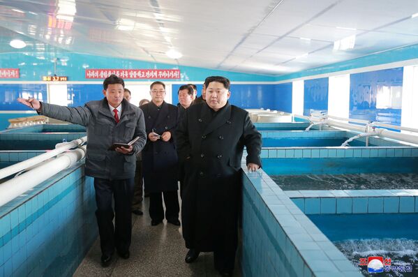 Ao lado de outros políticos, Kim Jong-un visitou uma criação de bagres. - Sputnik Brasil
