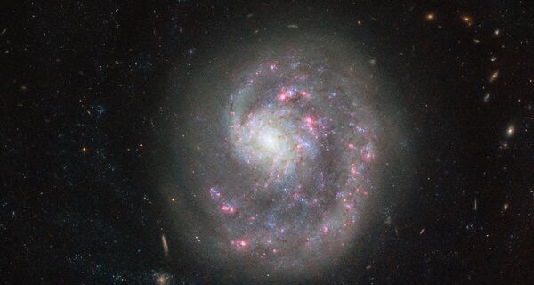 Telescópio Hubble captura a galáxia anã NGC 4625 que possui apenas um braço de espiral, o que a faz parecer assimétrica - Sputnik Brasil