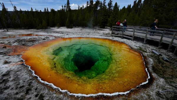 A Grande Fonte Prismática no parque nacional de Yellowstone - Sputnik Brasil